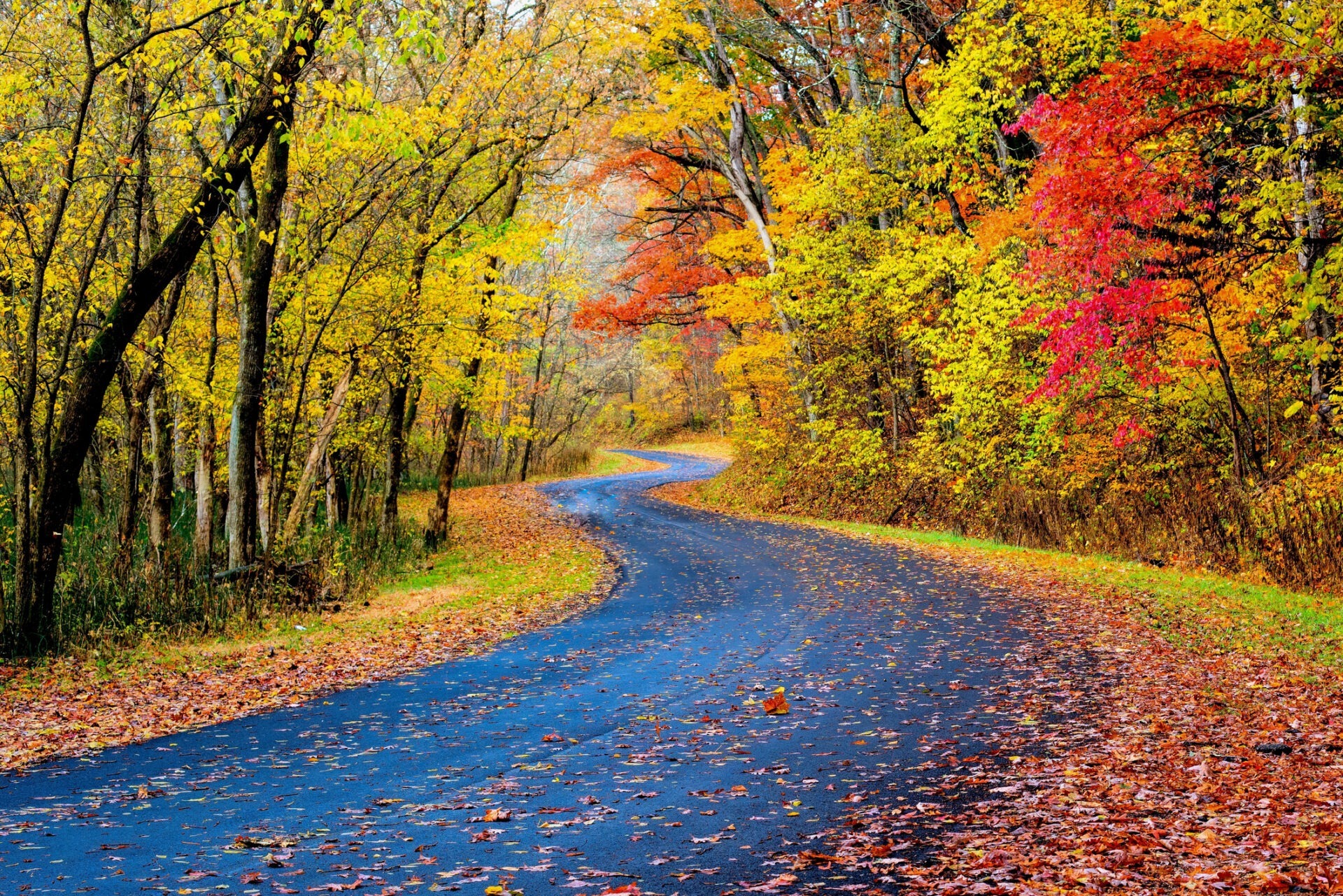 Autumn Road in Ohio.