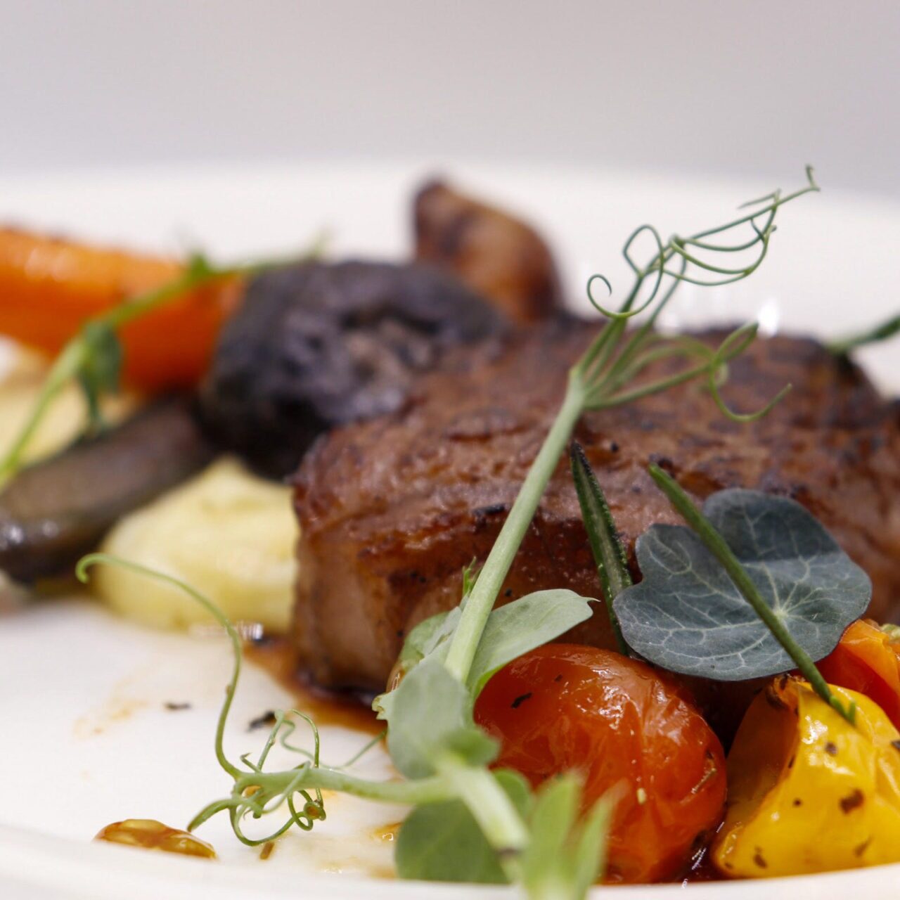 Six-Course Dinner