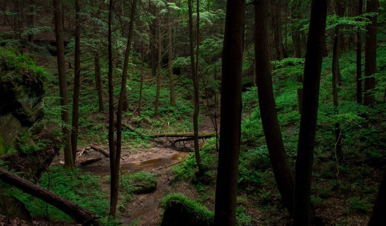 Hiker’s Getaway