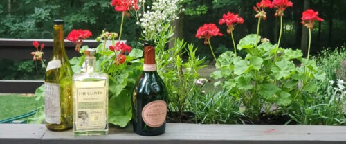 Three bottles of alcohol in front of red flowers outside.