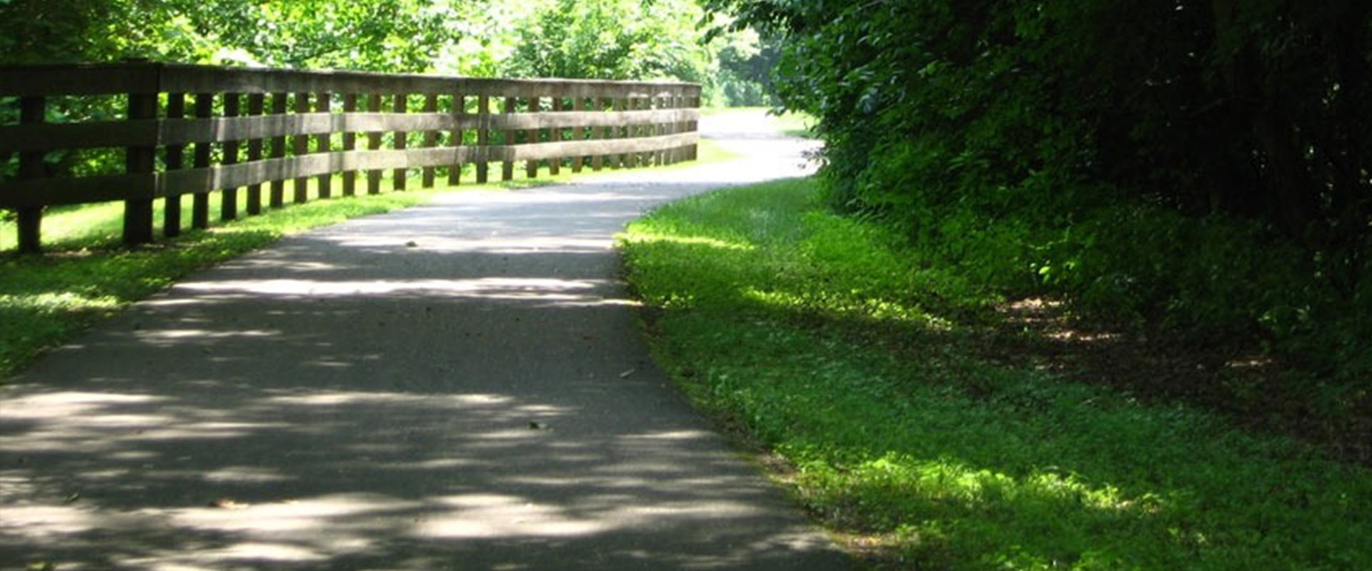 Walking path in the summer, with greenery.