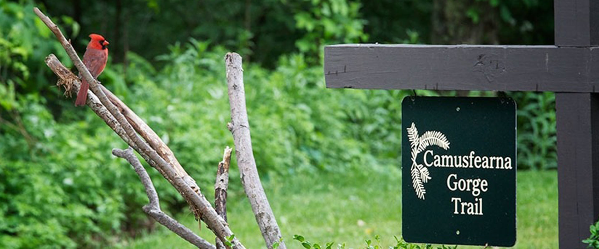 Sign at Glenlaurel of "Camusfearna Gorge Trail" and red bird.