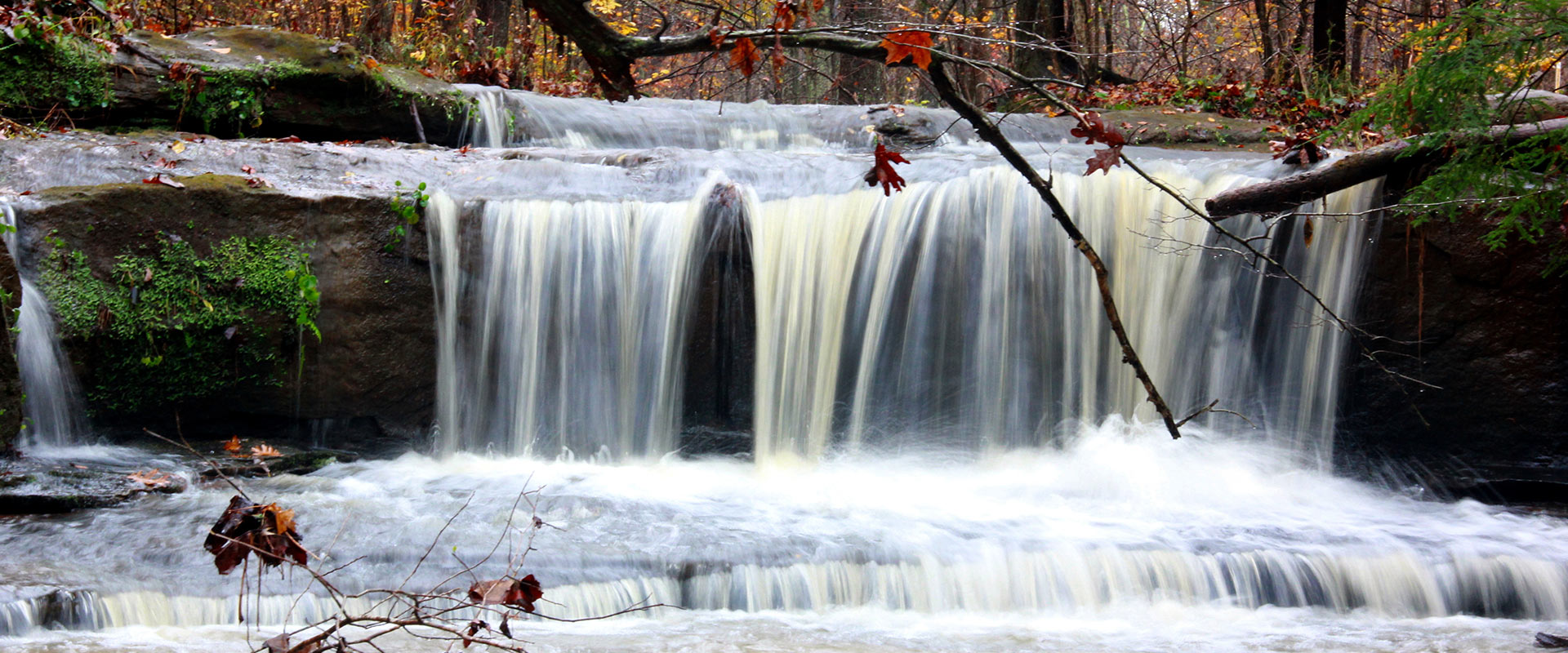 Camusfearna Gorge at Glenlaurel