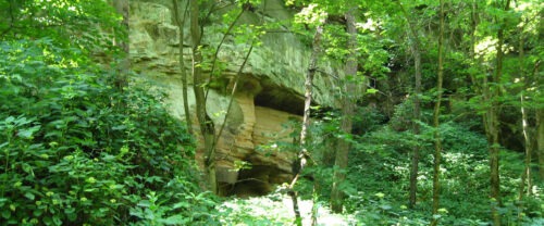 Rocks, trees, and greenery.