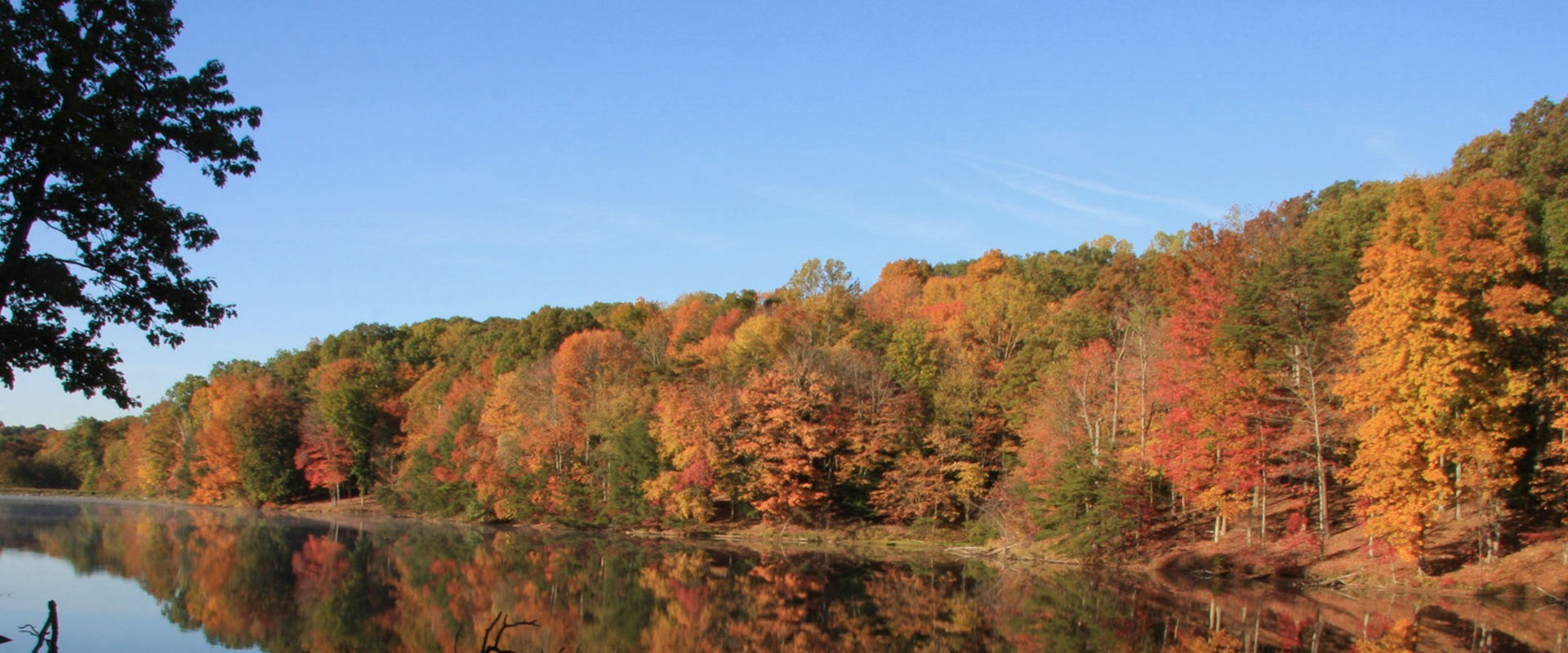 Autumn colored trees surrounding a lake.