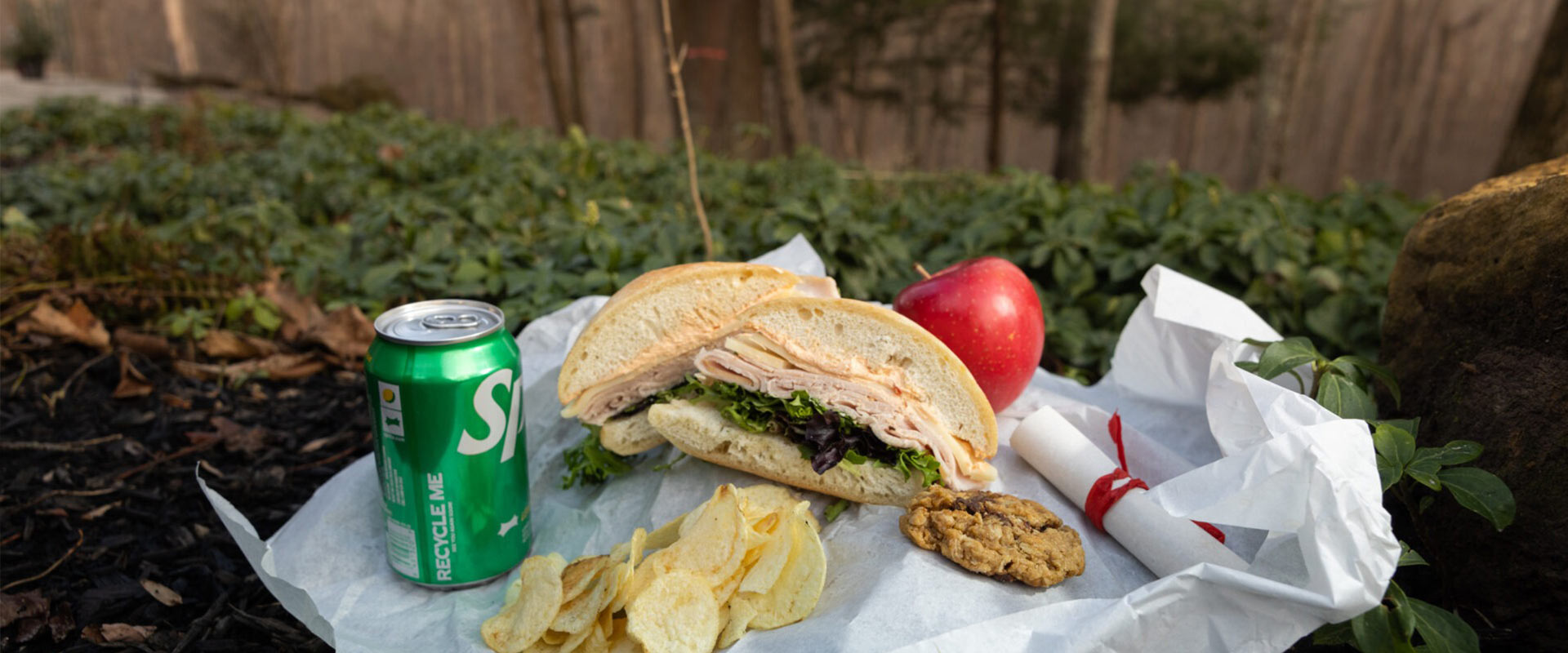 Picnic with a can of Sprite, red apple, chips, cookie, and sandwich.