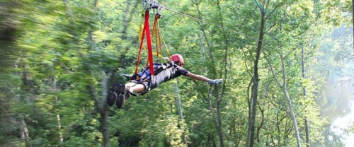 Man ziplining through trees.