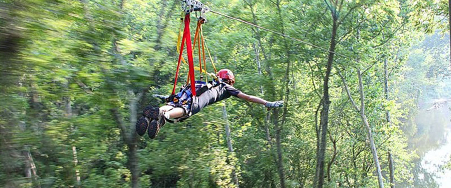 Man ziplining through trees.
